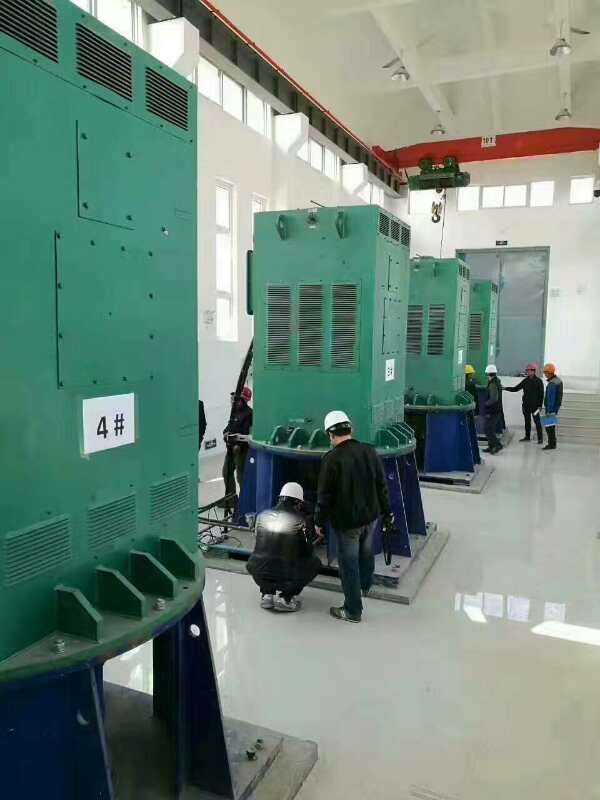 龙江镇某污水处理厂使用我厂的立式高压电机安装现场